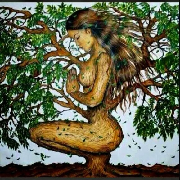 Meet your Posher, Carla - Picture 1 of 1